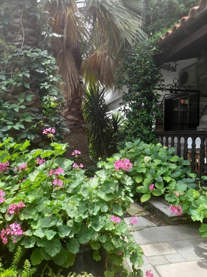 Papatzikos Traditional Guesthouse Neos Marmaras Dış mekan fotoğraf