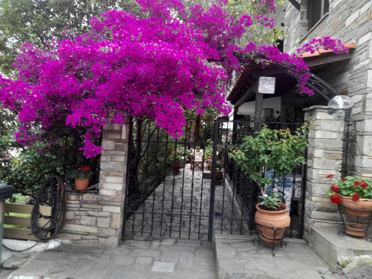 Papatzikos Traditional Guesthouse Neos Marmaras Dış mekan fotoğraf