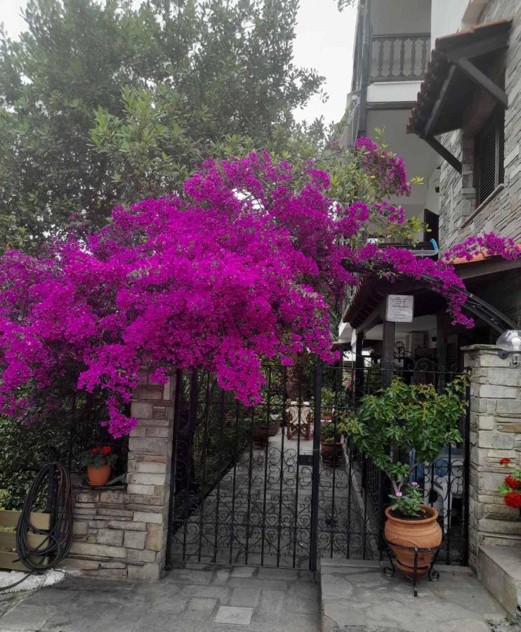 Papatzikos Traditional Guesthouse Neos Marmaras Dış mekan fotoğraf